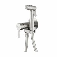 Смеситель Raglo встраиваемый с гигиеническим душем R20.54