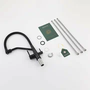 Смеситель Splenka для кухни со съемным гибким изливом S71.62.06