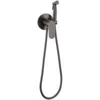 Смеситель Raglo встраиваемый с гигиеническим душем R10.52.09