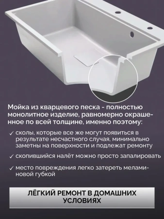 Мойка с измельчителем DLQ75-51-650-BORT