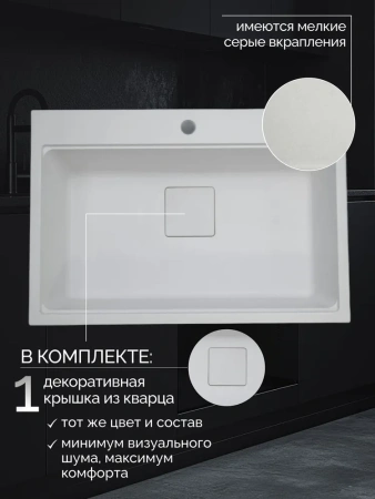 Мойка с измельчителем DLQ75-51-650-BORT