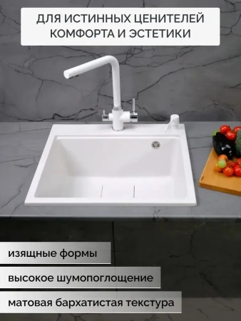 Мойка с измельчителем DLQ56-51-650-BORT 