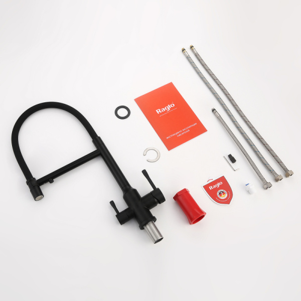 Смеситель Raglo для кухни со съемным гибким изливом R81.63.06