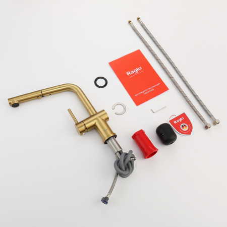 Смеситель Raglo для кухни с выдвижным изливом R86.49.03