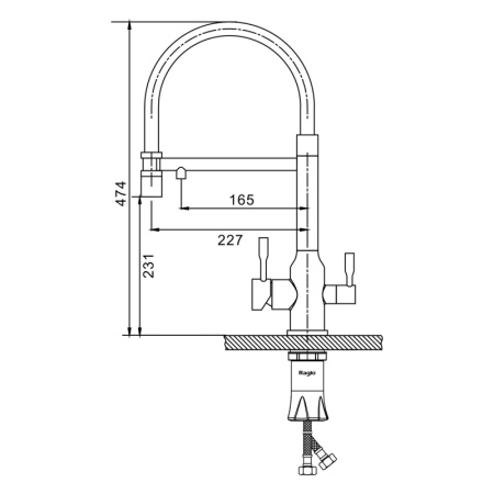 Смеситель Raglo для кухни со съемным гибким изливом R81.63.06