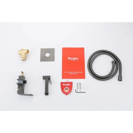 Смеситель Raglo встраиваемый с гигиеническом душем R01.52.09